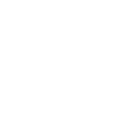 ikona